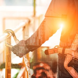 Bild von Markus Kollmayer